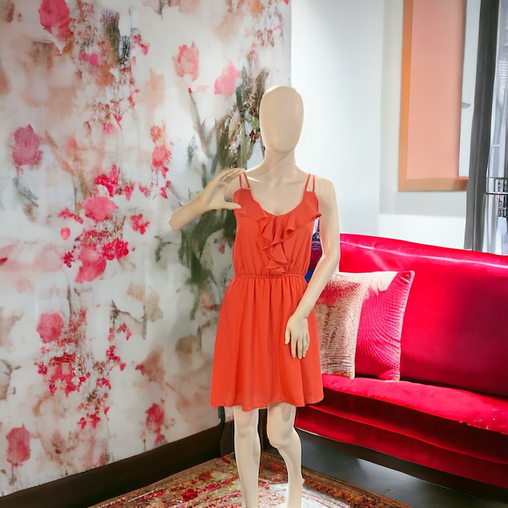 Francesca’s Coral dress